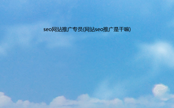 seo网站推广专员(网站seo推广是干嘛)