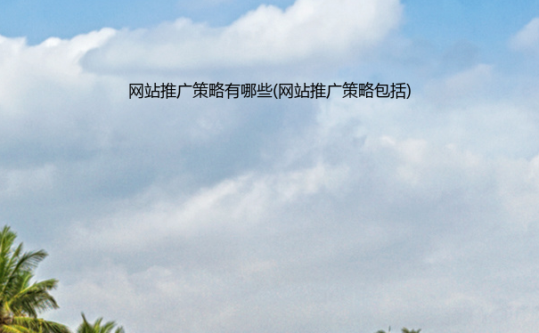网站推广策略有哪些(网站推广策略包括)