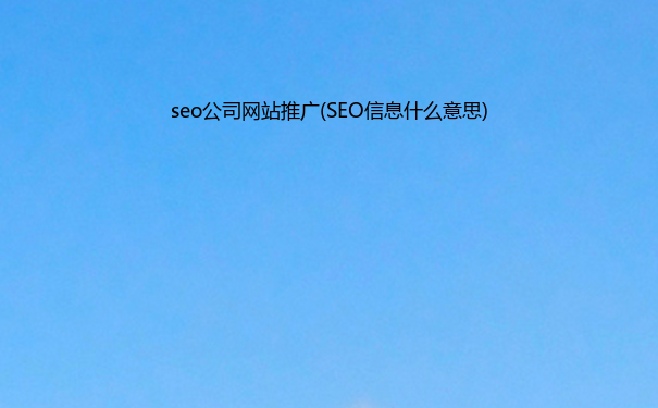 seo公司网站推广(SEO信息什么意思)