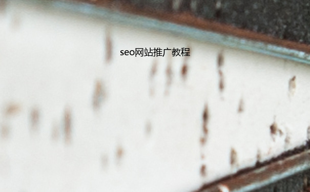 seo网站推广教程
