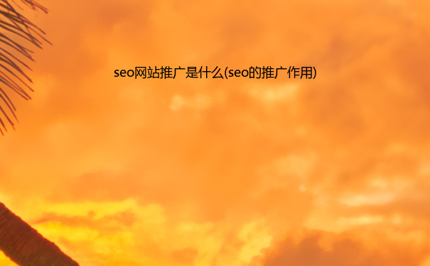 seo网站推广是什么(seo的推广作用)