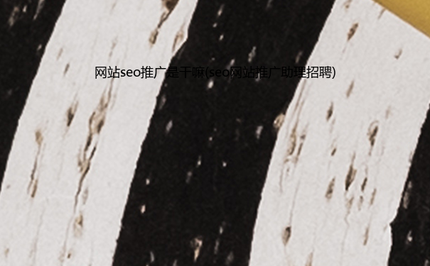 网站seo推广是干嘛(seo网站推广助理)