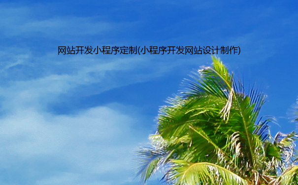 网站开发小程序定制(小程序开发网站设计)