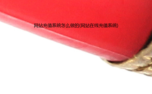 网站充值系统怎么做的(网站在线充值系统)