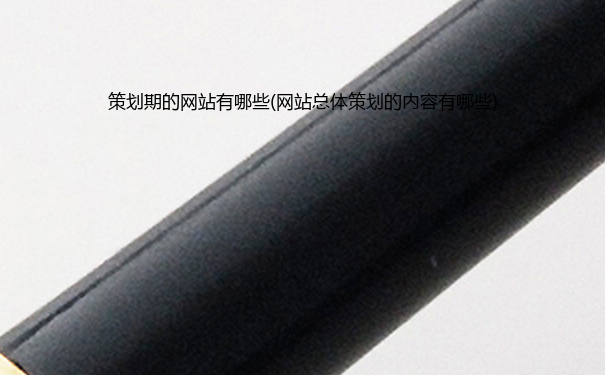 策划期的网站有哪些(网站总体策划的内容有哪些)