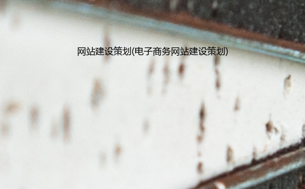 网站建设策划(电子商务网站建设策划)