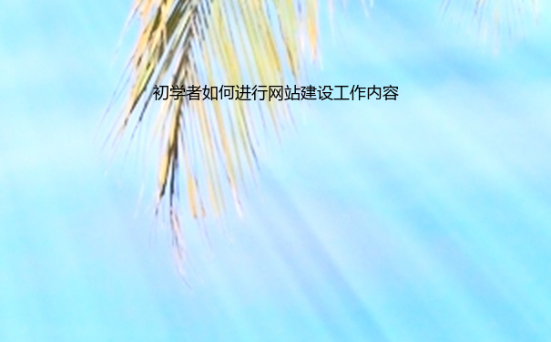 初学者如何进行网站建设工作内容