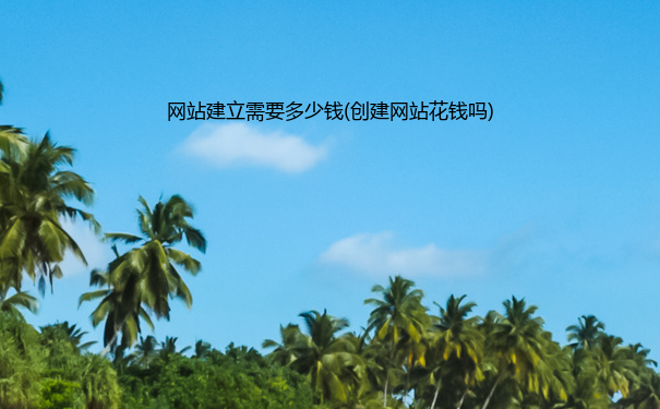 网站建立需要多少钱(创建网站花钱吗)
