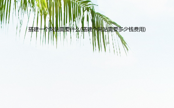 搭建一个网站需要什么(搭建个网站需要多少钱费用)