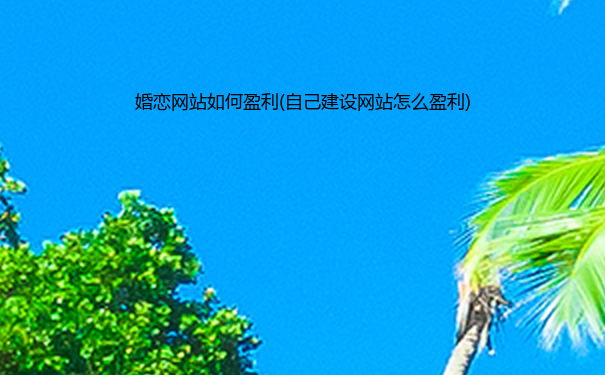 婚恋网站如何盈利(自己建设网站怎么盈利)
