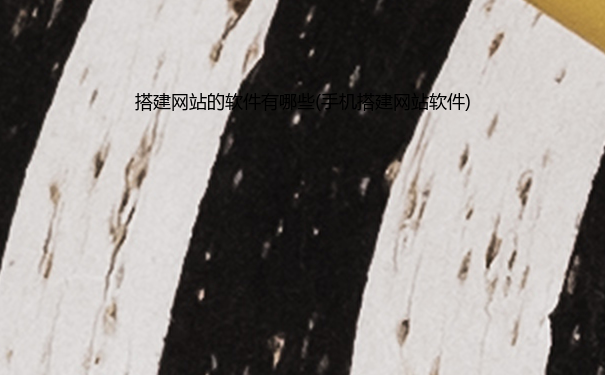 搭建网站的软件有哪些(手机搭建网站软件)