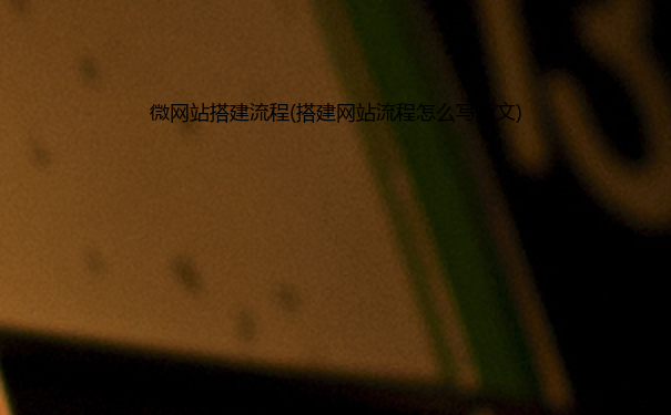 微网站搭建流程(搭建网站流程怎么写范文)