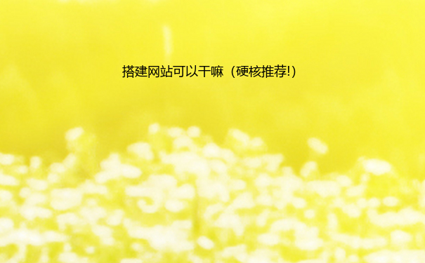 搭建网站可以干嘛（硬核推荐!）