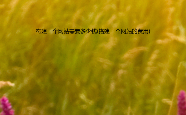构建一个网站需要多少钱(搭建一个网站的费用)