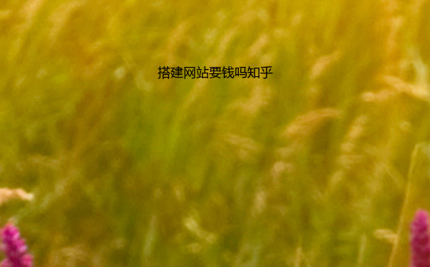 搭建网站要钱吗知乎