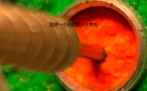 搭建一个网站要多少费用