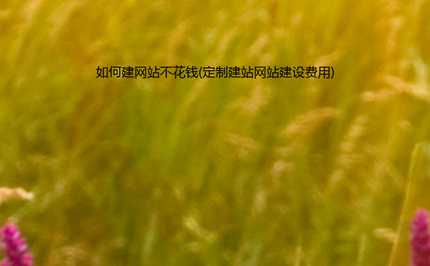 如何建网站不花钱(定制建站网站建设费用)