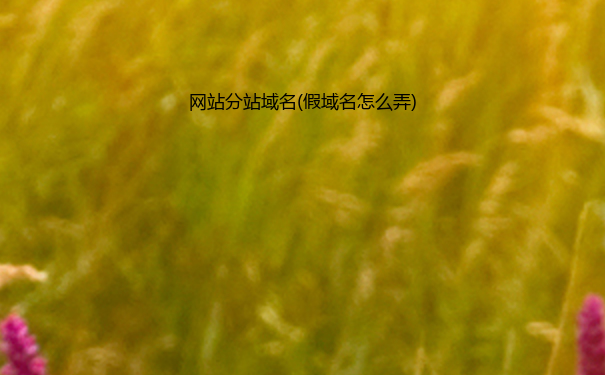 网站分站域名(假域名怎么弄)