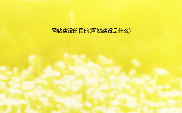 网站建设的目的(网站建设是什么)