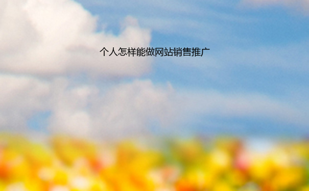 个人怎样能做网站销售推广