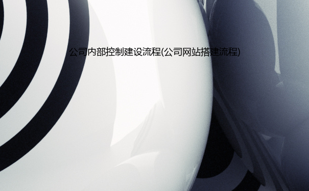 公司内部控制建设流程(公司网站搭建流程)