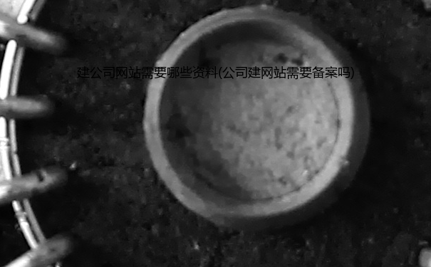 建公司网站需要哪些资料(公司建网站需要备案吗)