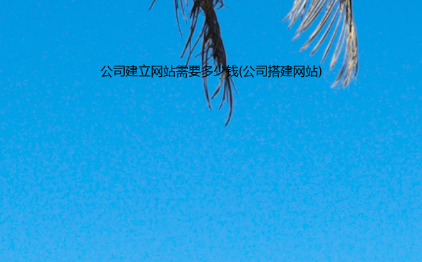 公司建立网站需要多少钱(公司搭建网站)
