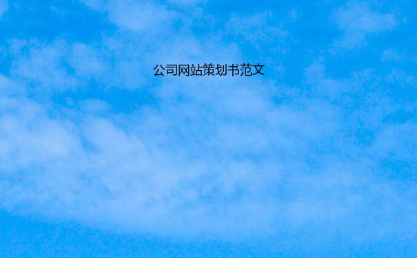 公司网站策划书范文
