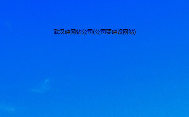 武汉建网站公司(公司要建设网站)