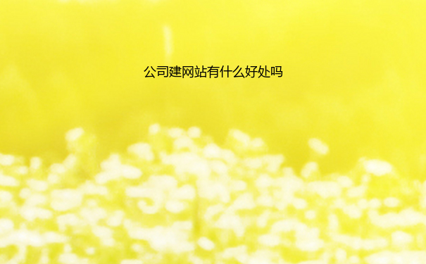 公司建网站有什么好处吗
