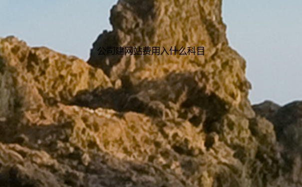 公司建网站费用入什么科目
