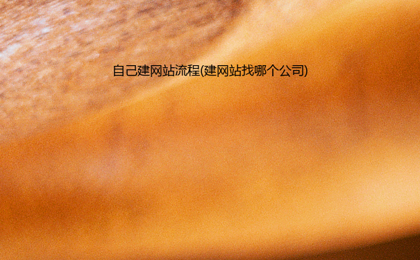 自己建网站流程(建网站找哪个公司)