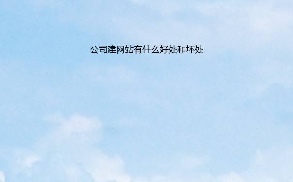 公司建网站有什么好处和坏处