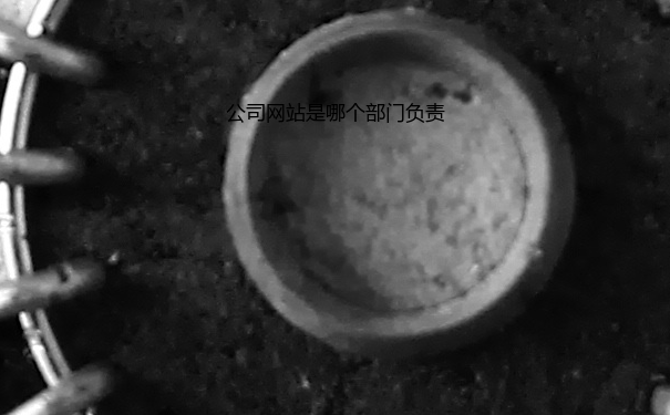公司网站是哪个部门负责