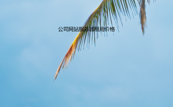 公司网站服务器租用价格