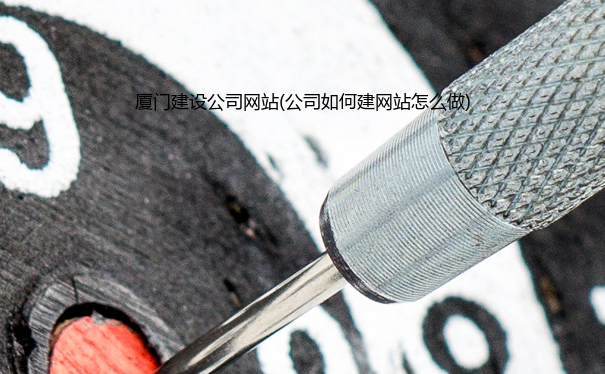 厦门建设公司网站(公司如何建网站怎么做)