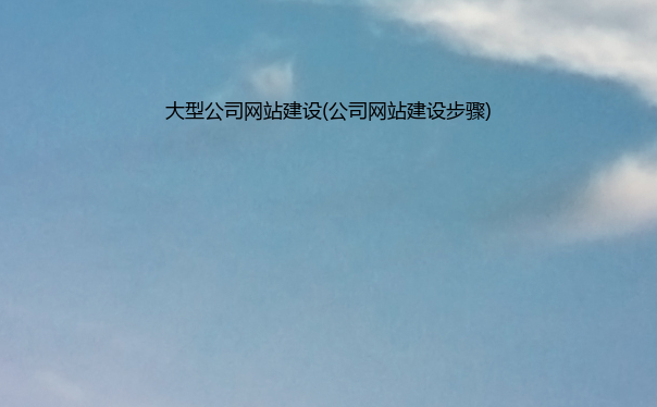 大型公司网站建设(公司网站建设步骤)