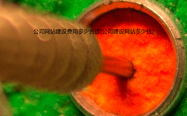 公司网站建设费用多少合适(公司建设网站多少钱)