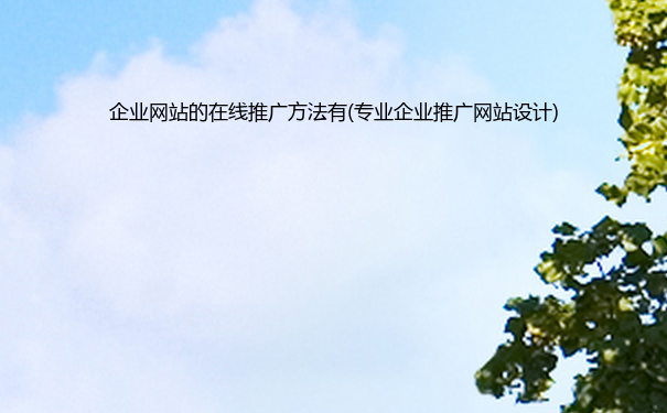 企业网站的在线推广有(专业企业推广网站设计)