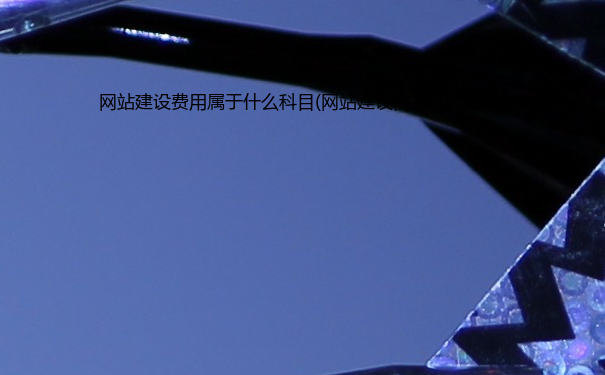 网站建设费用属于什么科目(网站建设需要什么要求)