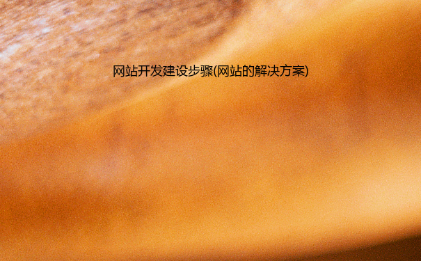 网站开发建设步骤(网站的解决方案)